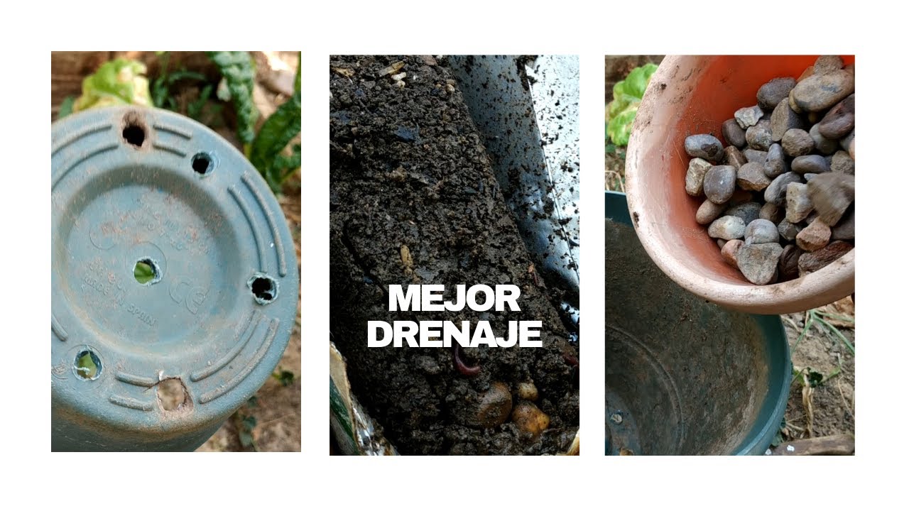 Cómo solucionar problemas de drenaje en macetas utilizando compost