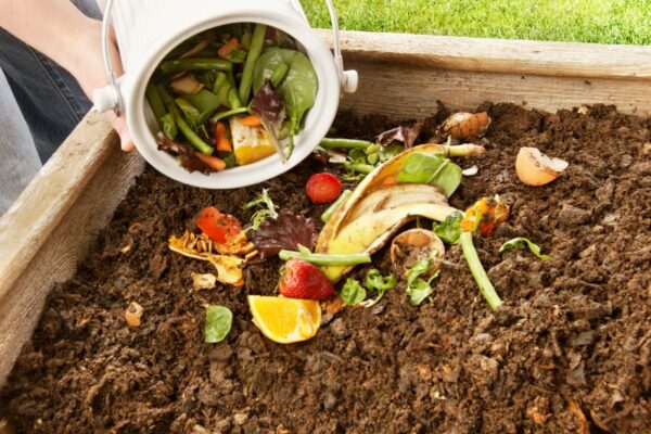 Cuándo y cómo utilizar el compost en árboles frutales